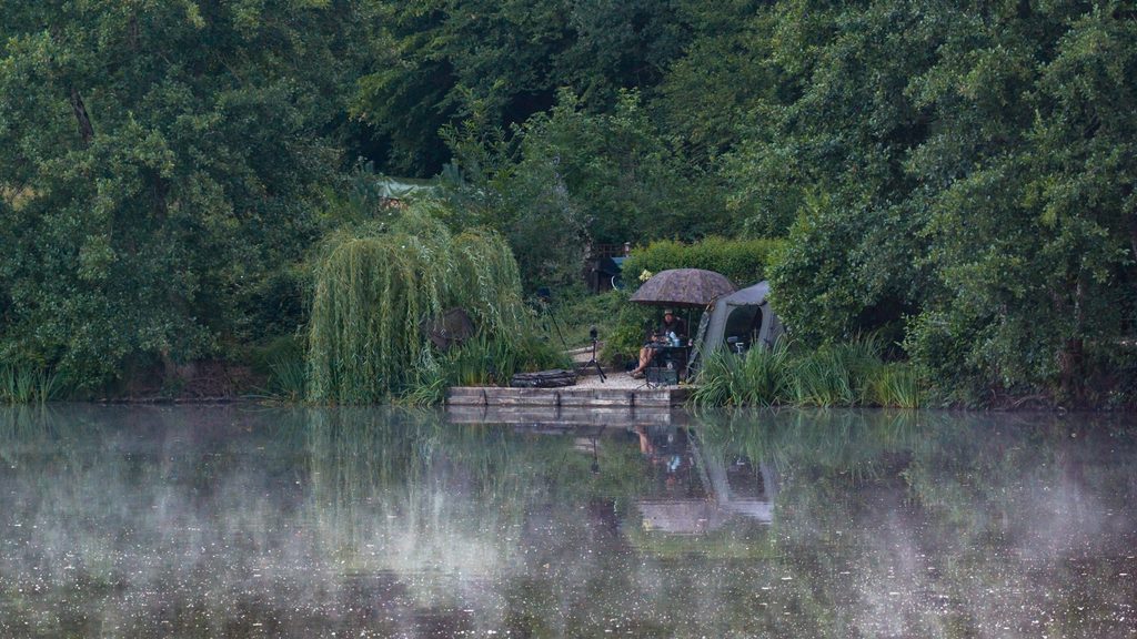 MPD swim 2 all inclusive carp fishing in france