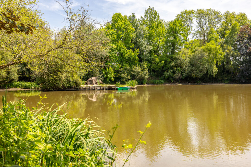 Lakeview Carp Fishing with Accommodation in France