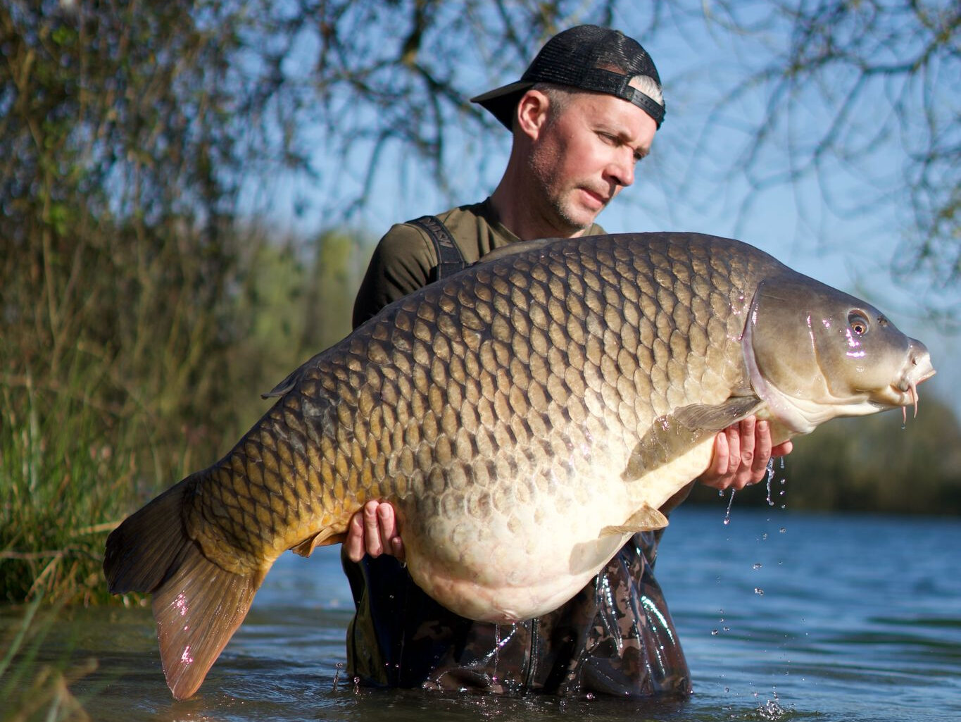 A large 70lb+ carp at Emeraude lake in France