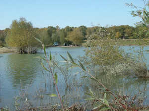 Carp fishing France