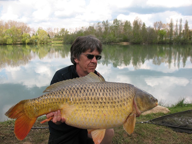 30lb+ common carp