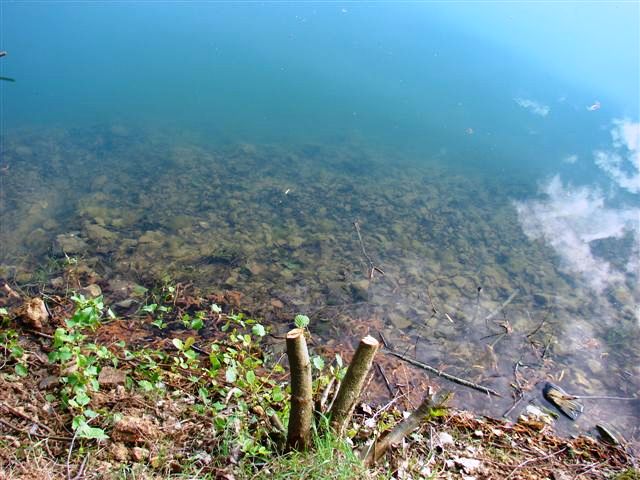 A new carp lake is born