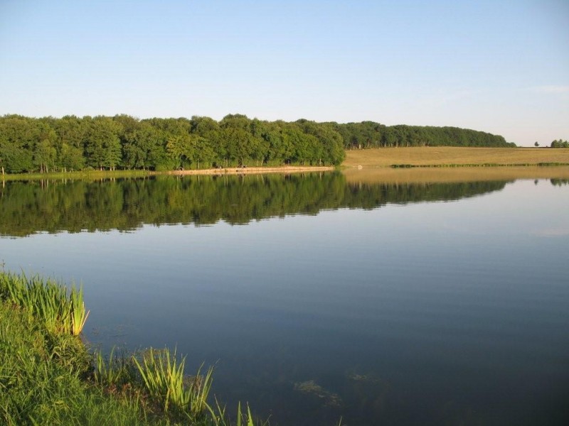 Carp fishing in France
