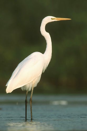 Carp fishing in France at Boux