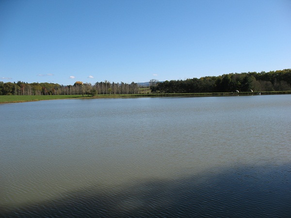 Carp fishing in France at Boux