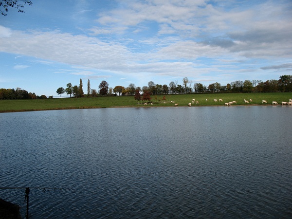 Carp fishing in France at Boux