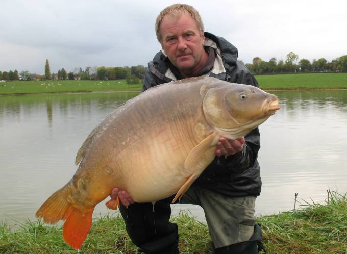 40lb mirror carp
