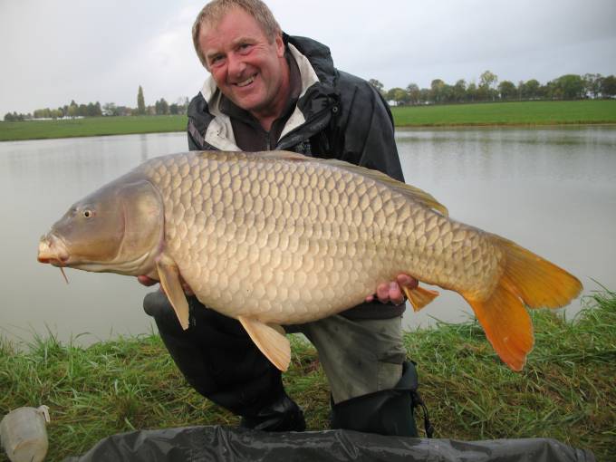 Large carp from France
