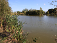 Carp fishing France