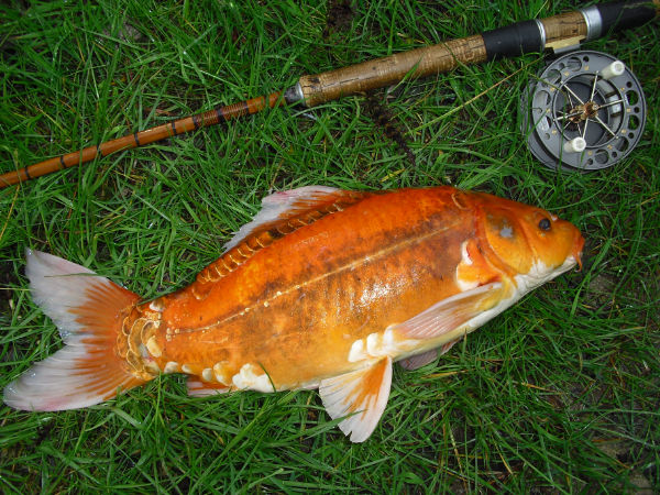 Fishing Holidays at Mas Bas