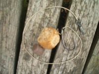 carp angling holiday