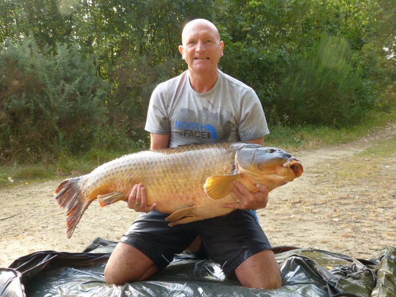 61lb common carp