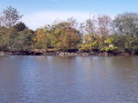 carp fishing holiday france