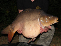 french big fish water