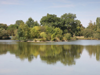 carp fishing holiday france