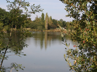 french big fish water