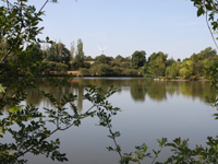 french big fish water