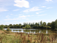 french big fish water