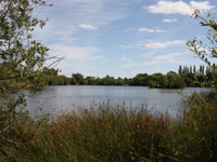 carp fishing holiday france