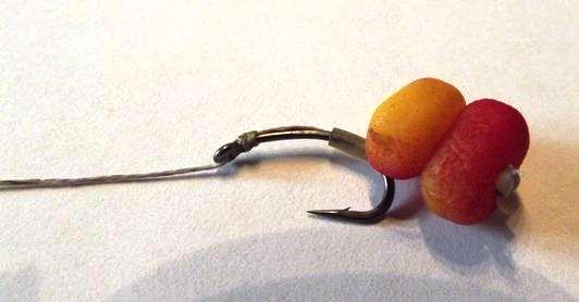 Best carp rigs