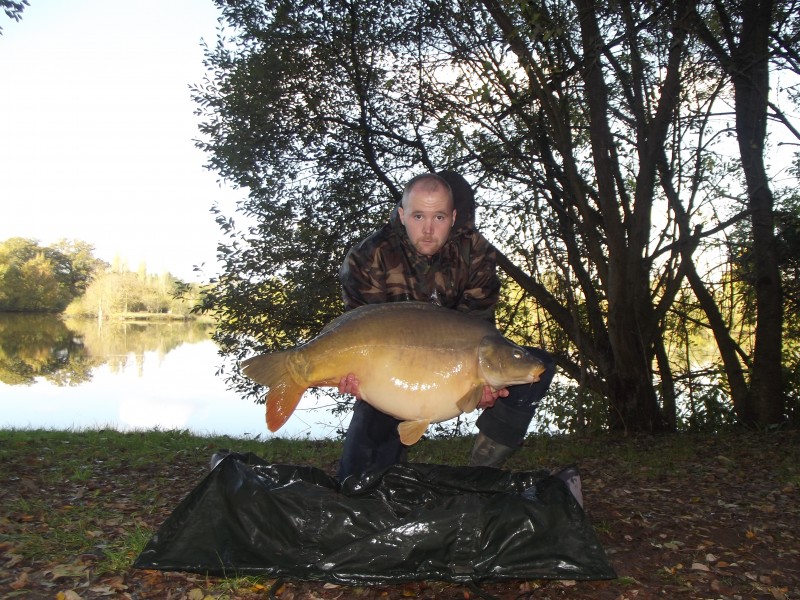 French Carp