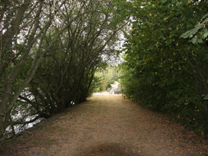 carp fishing holiday france