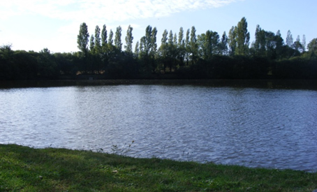 carp fishing holiday france