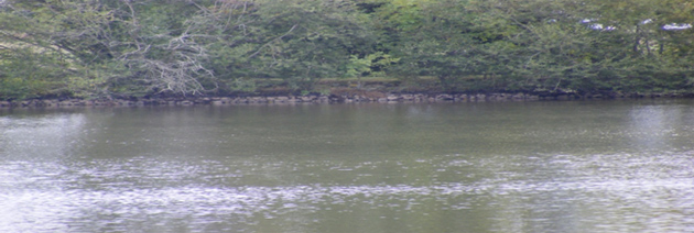 carp fishing in france