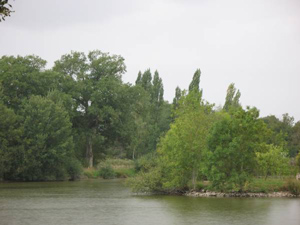 big carp fishing in france