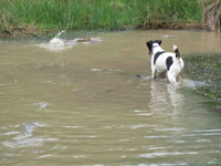 carp angling holiday