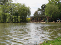 carp angling holiday