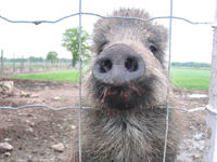 carp angling holiday