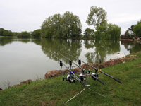 french carp fishing