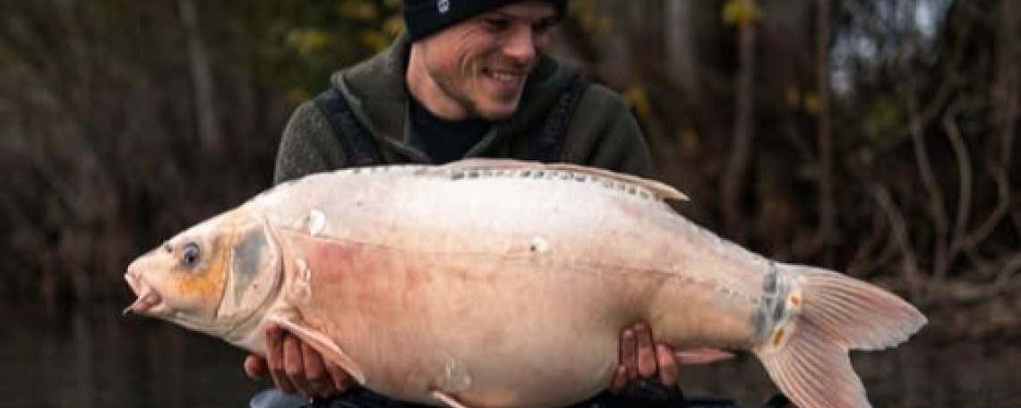 Fish photos photo 1 Fullys Lake