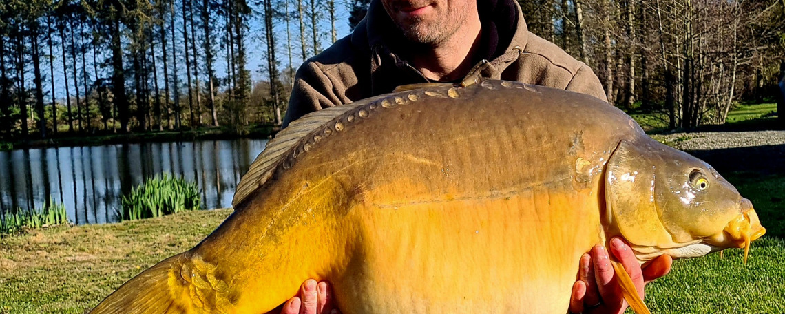 Fish photos photo 1 Mystique