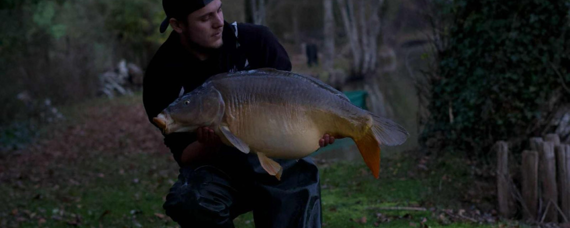 Fish photos photo 1 Linstant