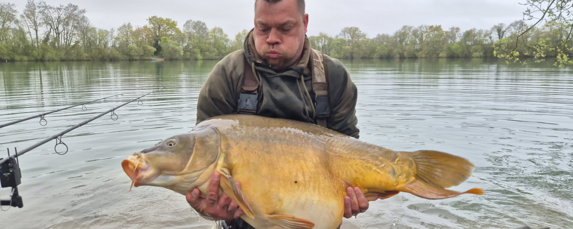 Fish photos photo 1 Emeraude