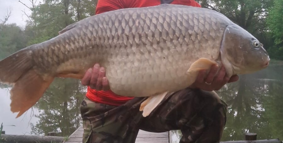 Fish photos photo 1 Lakeview