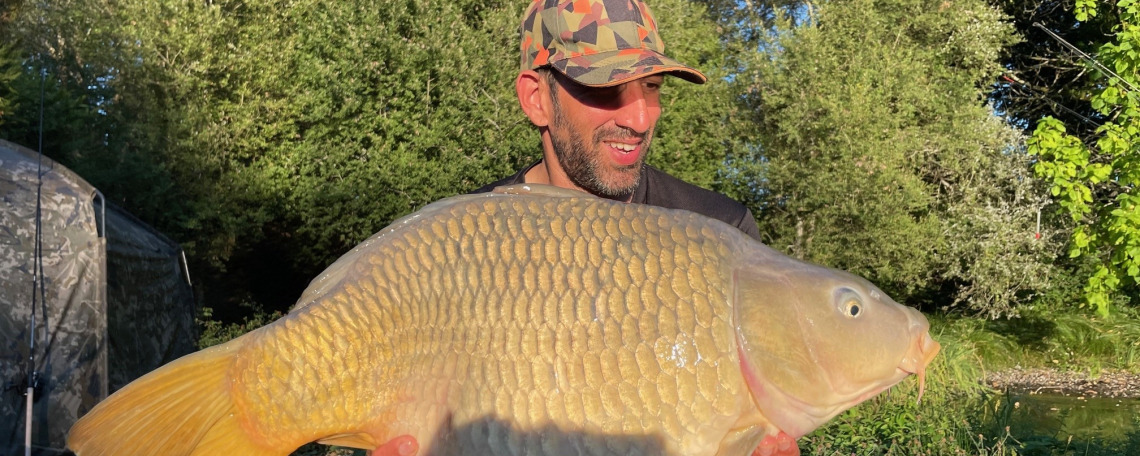 Fish photos photo 1 Lakeview