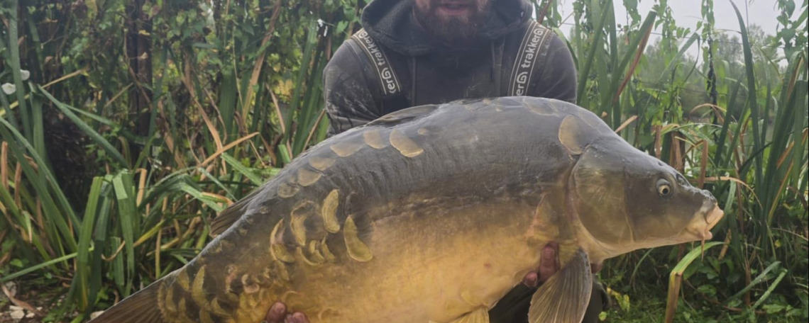 Fish photos photo 1 Ilot