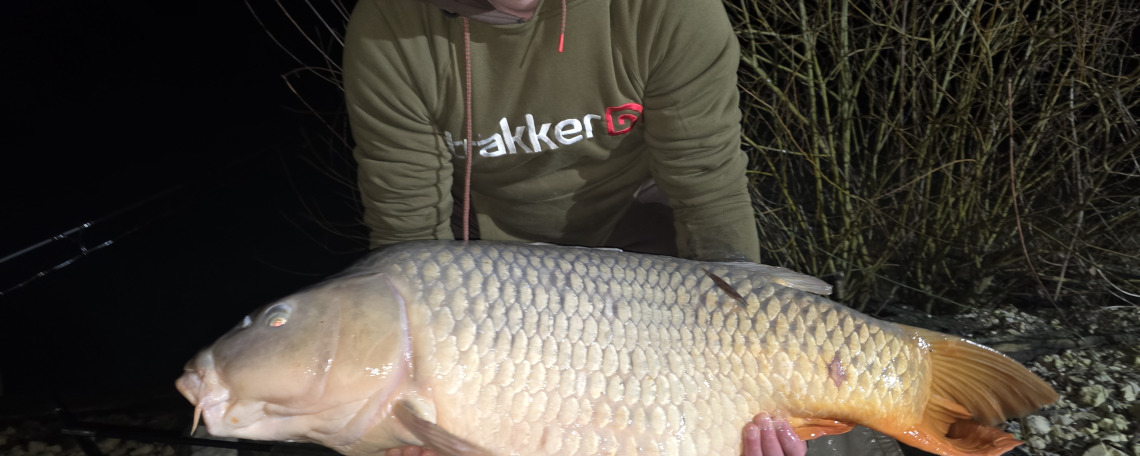 Fish photos photo 1 Ilot