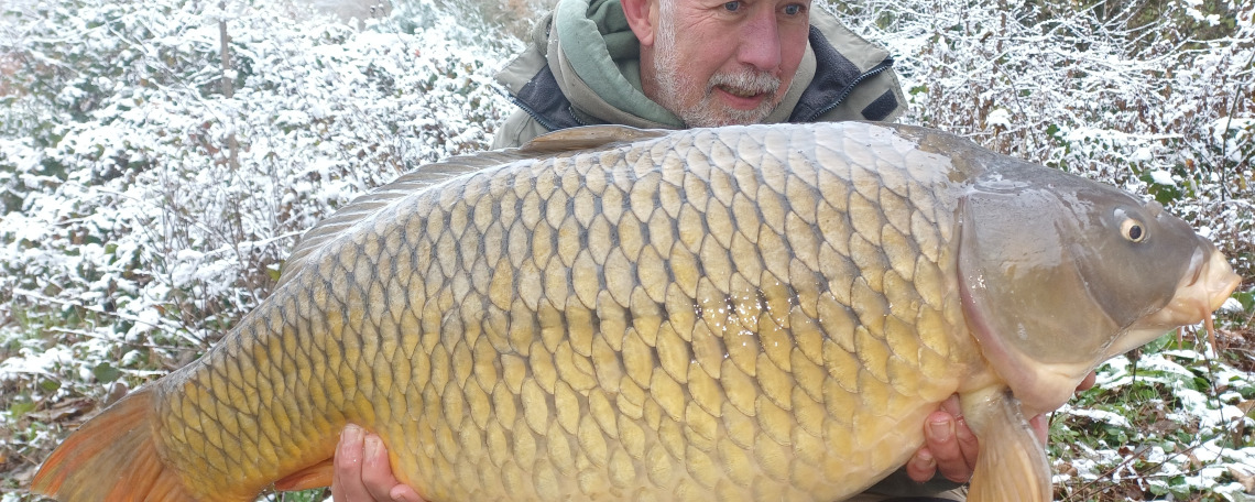 Fish photos photo 1 75885