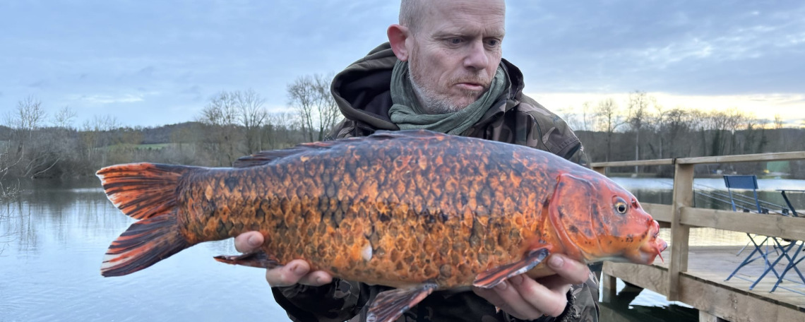 Fish photos photo 1 Duquesne