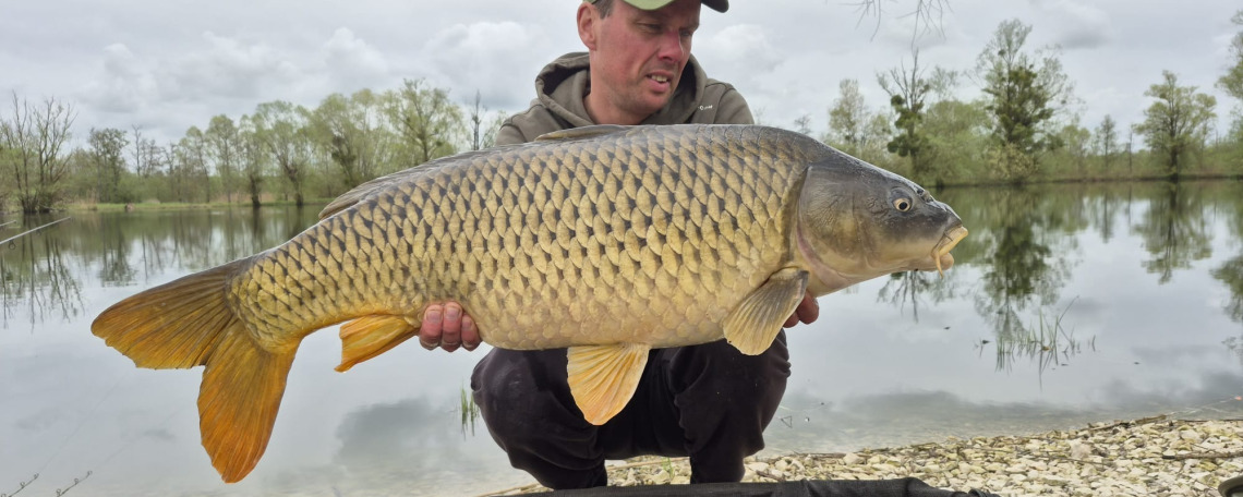 Fish photos photo 1 Le Sauci