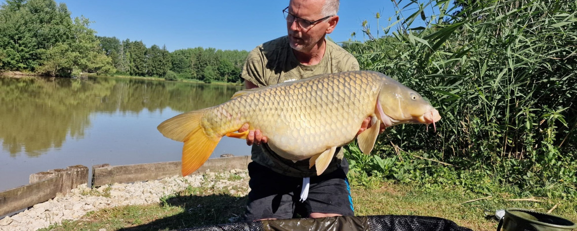 Fish photos photo 1 Renarde