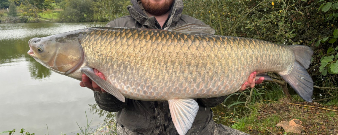 Fish photos photo 1 75427