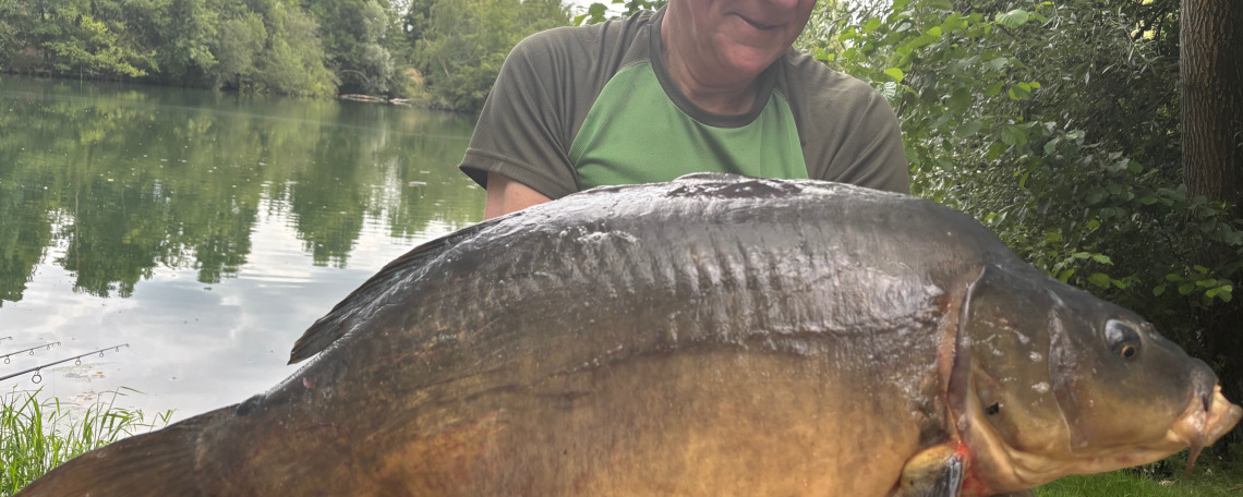 Fish photos photo 1 74789