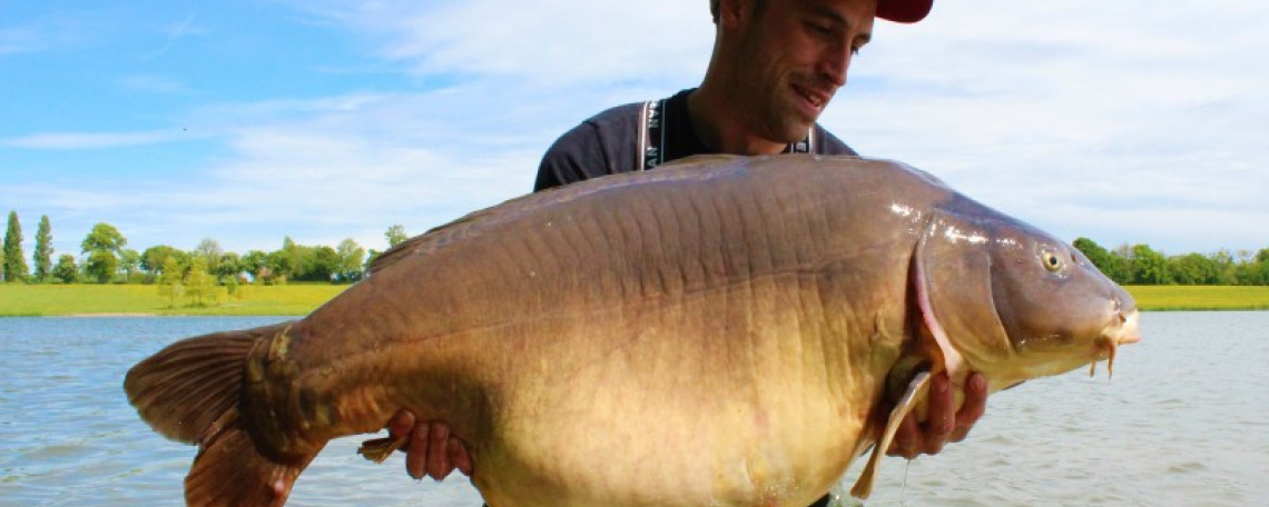 Fish photos photo 1 75877