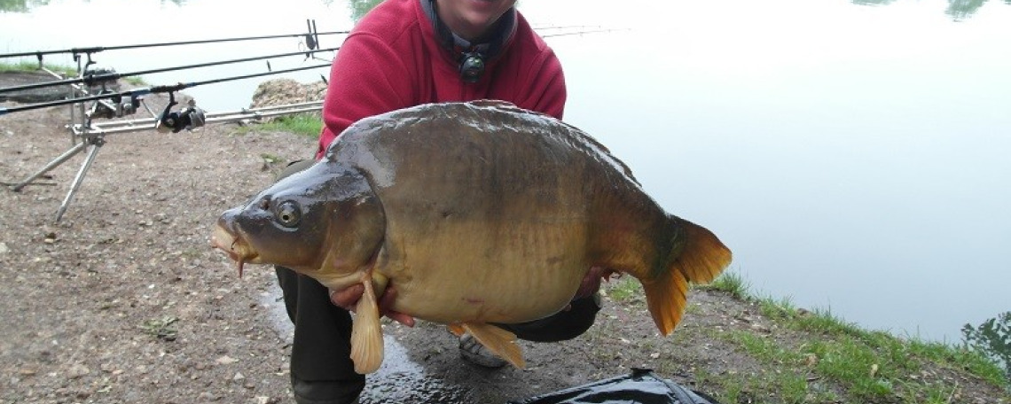 Fish photos photo 1 75551