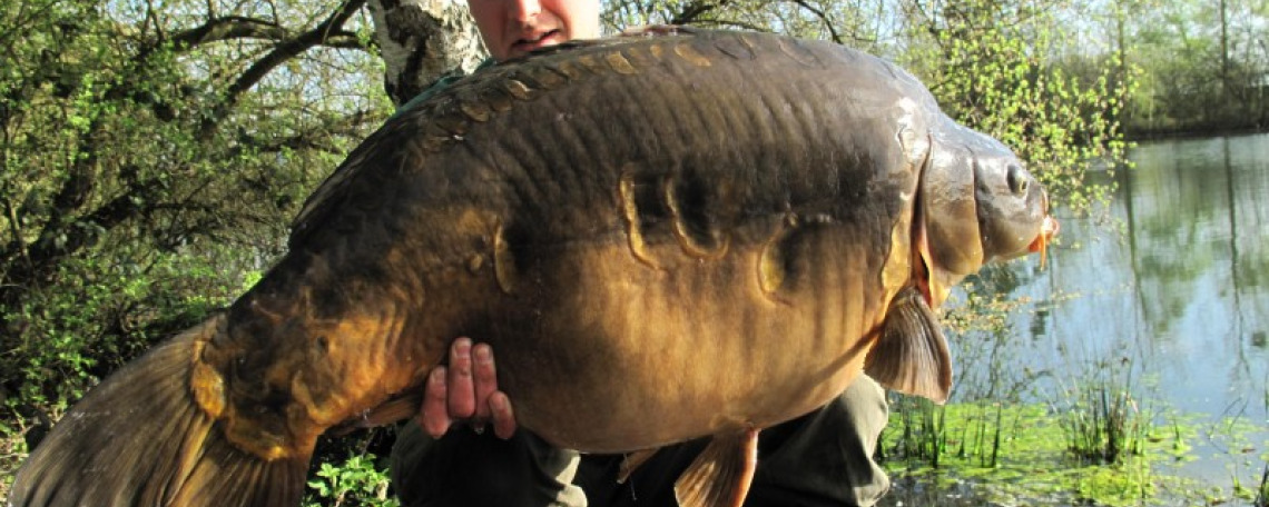 Fish photos photo 1 75893